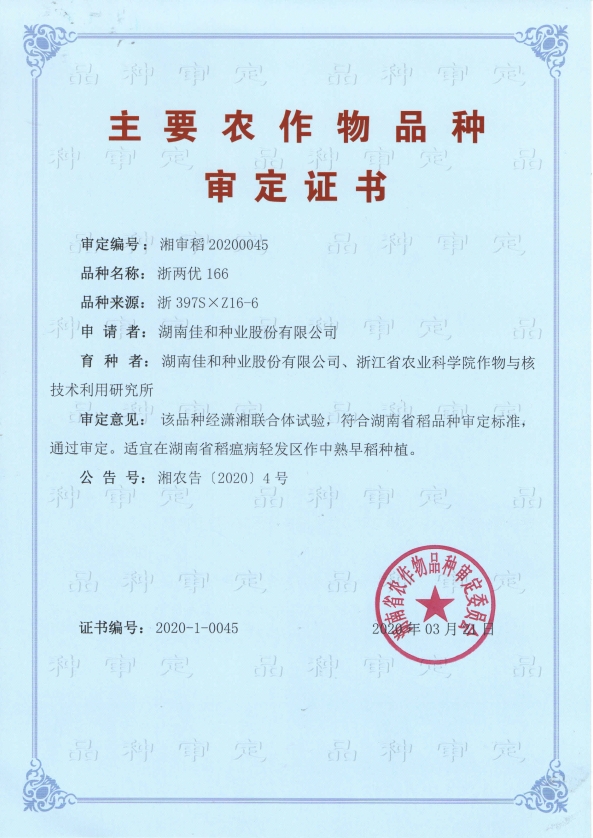 中熟早稻——浙两优166